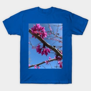 Pink blossom T-Shirt